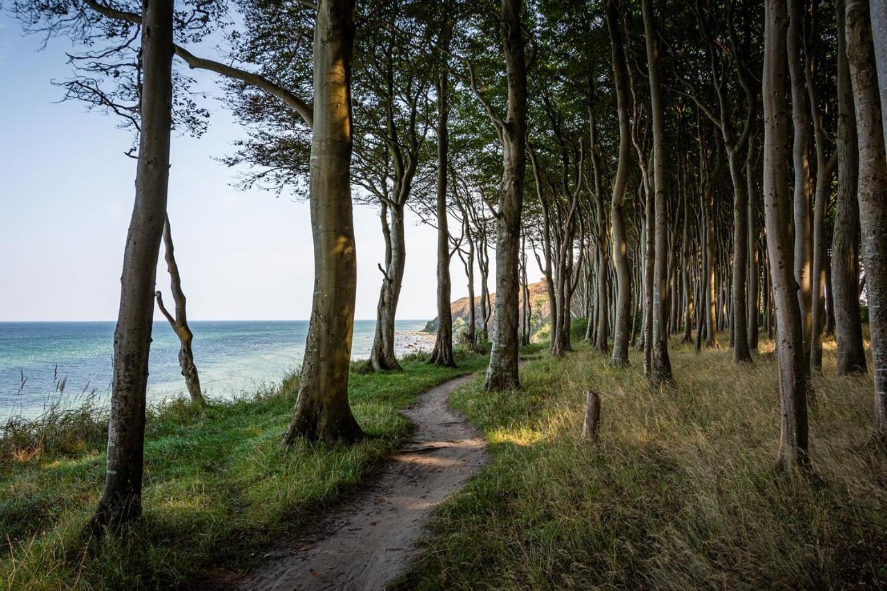 Gemuetliche Ferienresidenz Mit Meerblick Ueber Die Wundervolle Luebecker Bucht Timmendorfer Strand Exterior foto